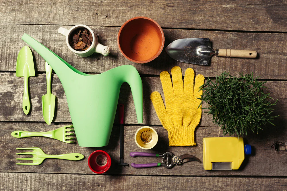 Essential Tools for Kitchen Gardening