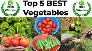 Top 5 Vegetables to Grow in Your Kitchen Garden