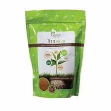 Organic Fertilizer