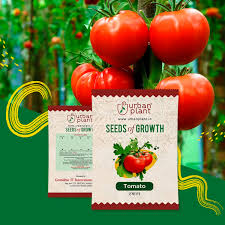 Tomato Seeds
